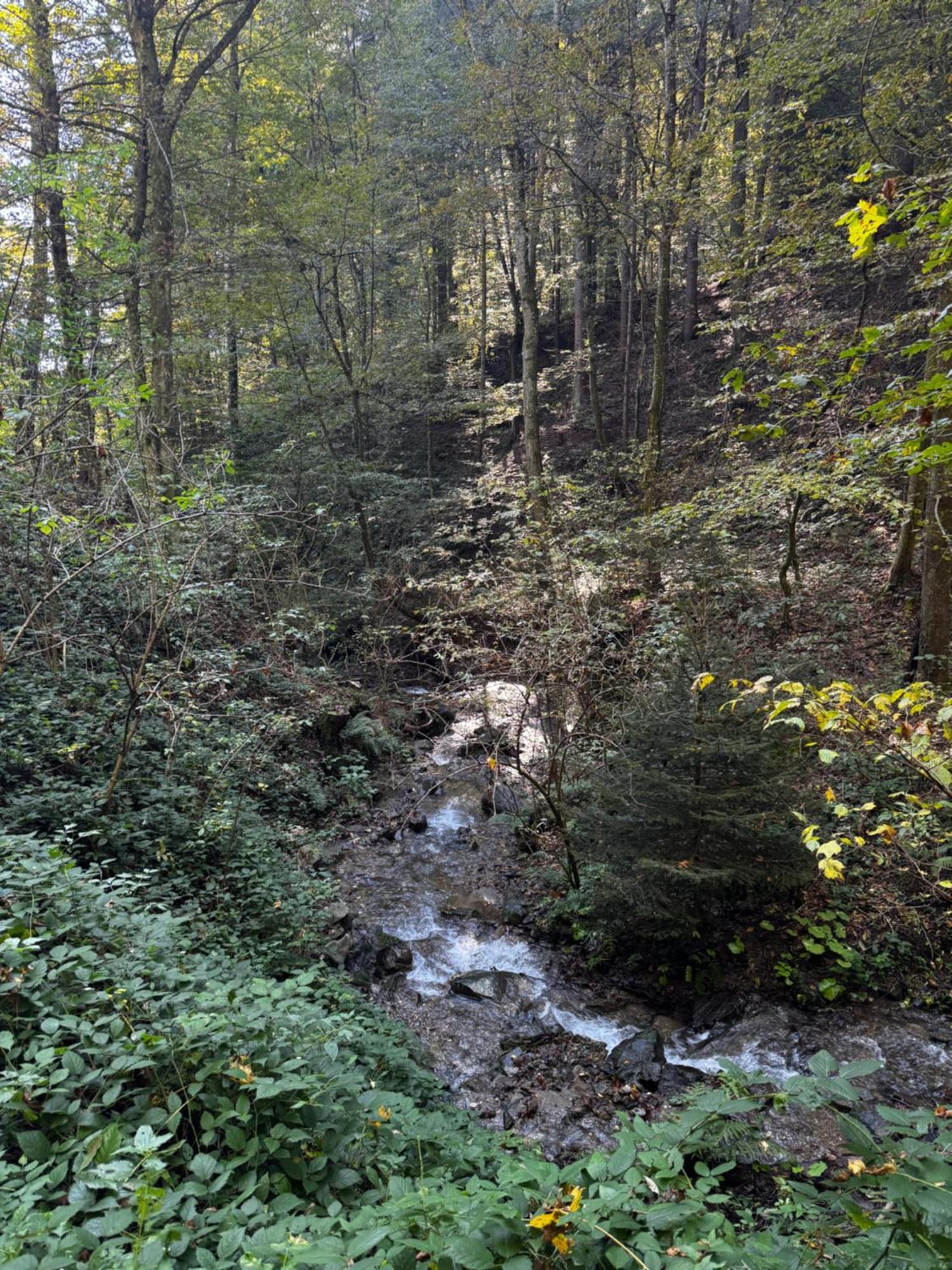 Chalet Ss Pohorje Βίλα Hočko Pohorje Εξωτερικό φωτογραφία